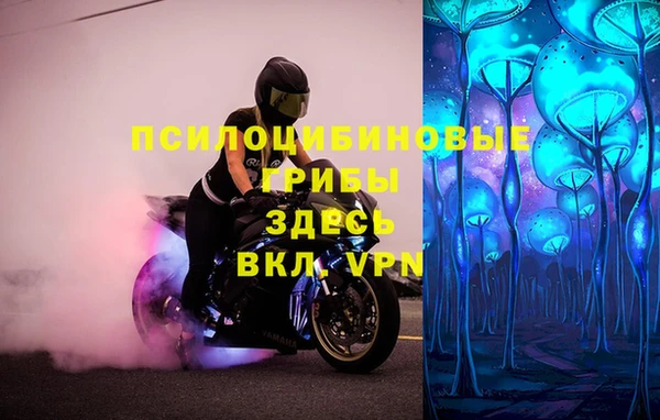 мет Кукмор